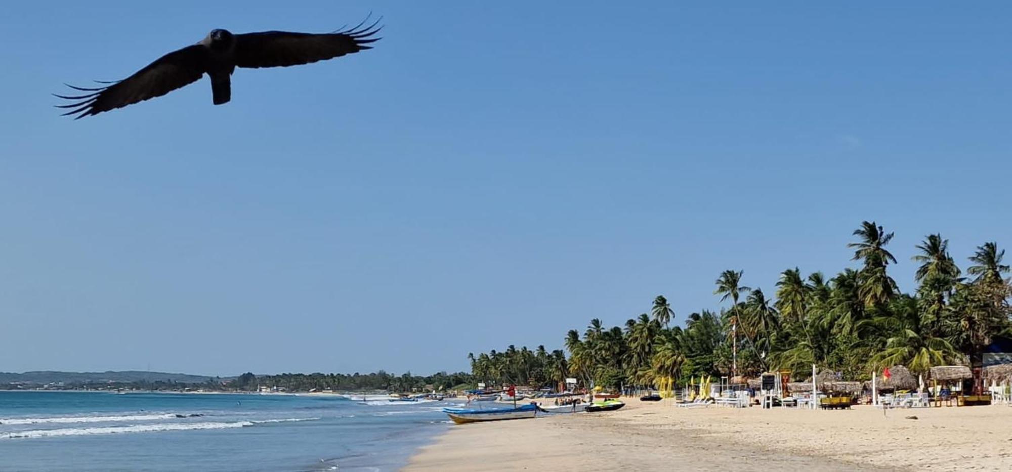 Lucky Beach Resort Trincomalee Exteriör bild